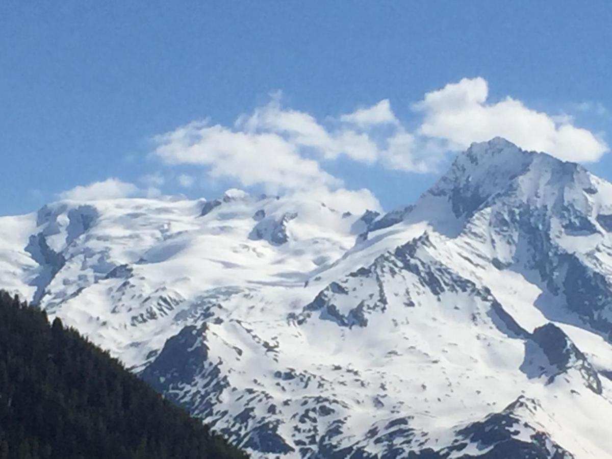 Le Petit Saint Bernard Villa Sainte-Foy-Tarentaise Kültér fotó